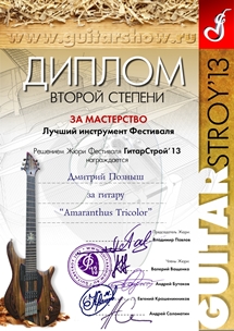 Диплом 3